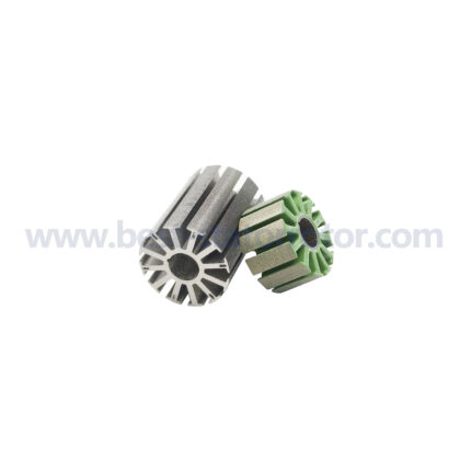 Common die stator core