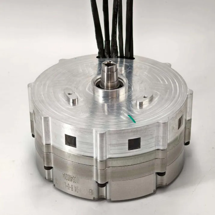 Custom Axial Flux Motor