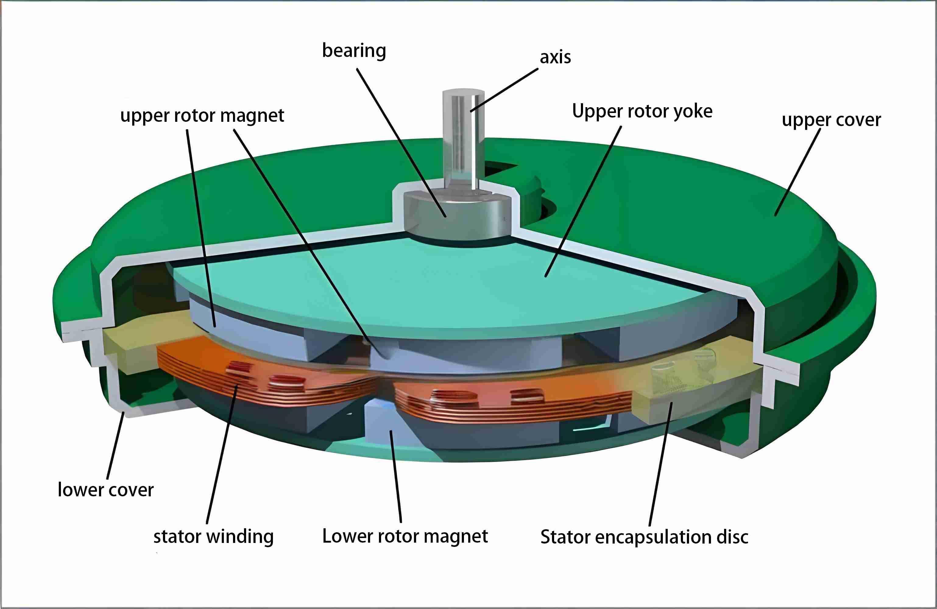 코어리스 영구 자석 모터